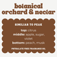 BOTANICAL ORCHARD & NECTAR JUMBO WAX MELT