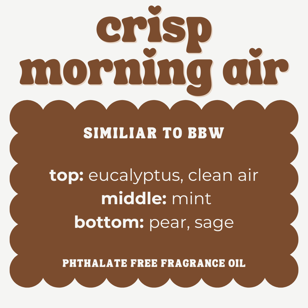 CRISP MORNING AIR JUMBO WAX MELT