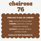 CHEIROSA NUMBERS JUMBO WAX MELTS